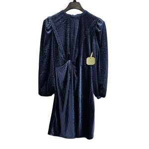 Ryegrass Dress Womens‎ M Blue Burnout Velvet Animal Print Faux Wrap Midi Flowy